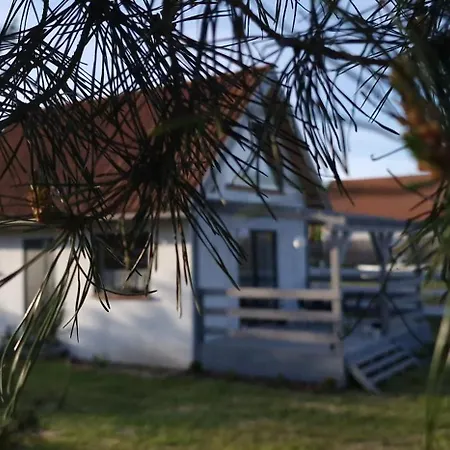 Ferienhaus W Ladnym Polu N1
